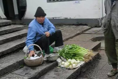 電子商務(wù)不是農(nóng)業(yè)的救世主！